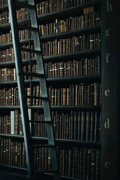 Photo by henry be on unsplash of books in a library