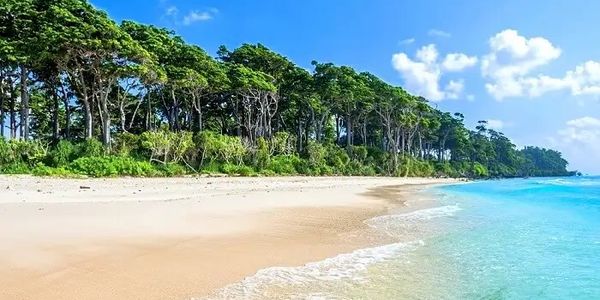 A pristine beach with clear blue water and lush green trees under a bright sky.