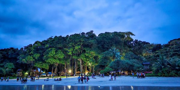 Crowded beach at dusk with illuminated trees and people enjoying the evening.