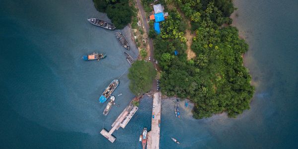 Aerial view of a small dock with boats and lush greenery on a peninsula.
