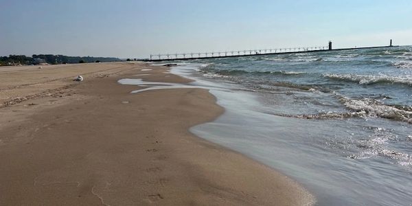 shoreline = south haven