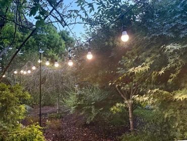 White festoon lights with black poles.