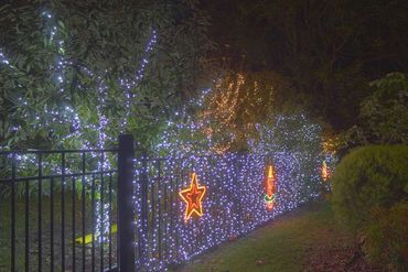 Gate and tree wrapping.