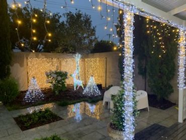 fairy light wall in the garden with mega light trees and icicle lights at Freemans Bay residence - C
