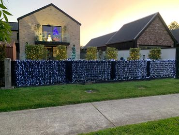Gate and tree wrwpping.