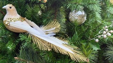 Closeup of cream velvet and gold large dove decoration in decorated artificial Christmas tree.