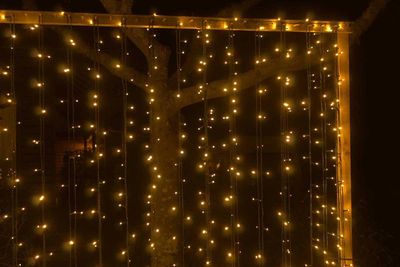 Gold fairy light wall in front of tree.