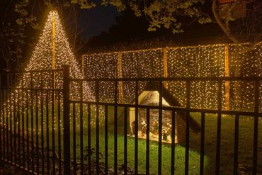 Nativity scene with mega tree and light wall.