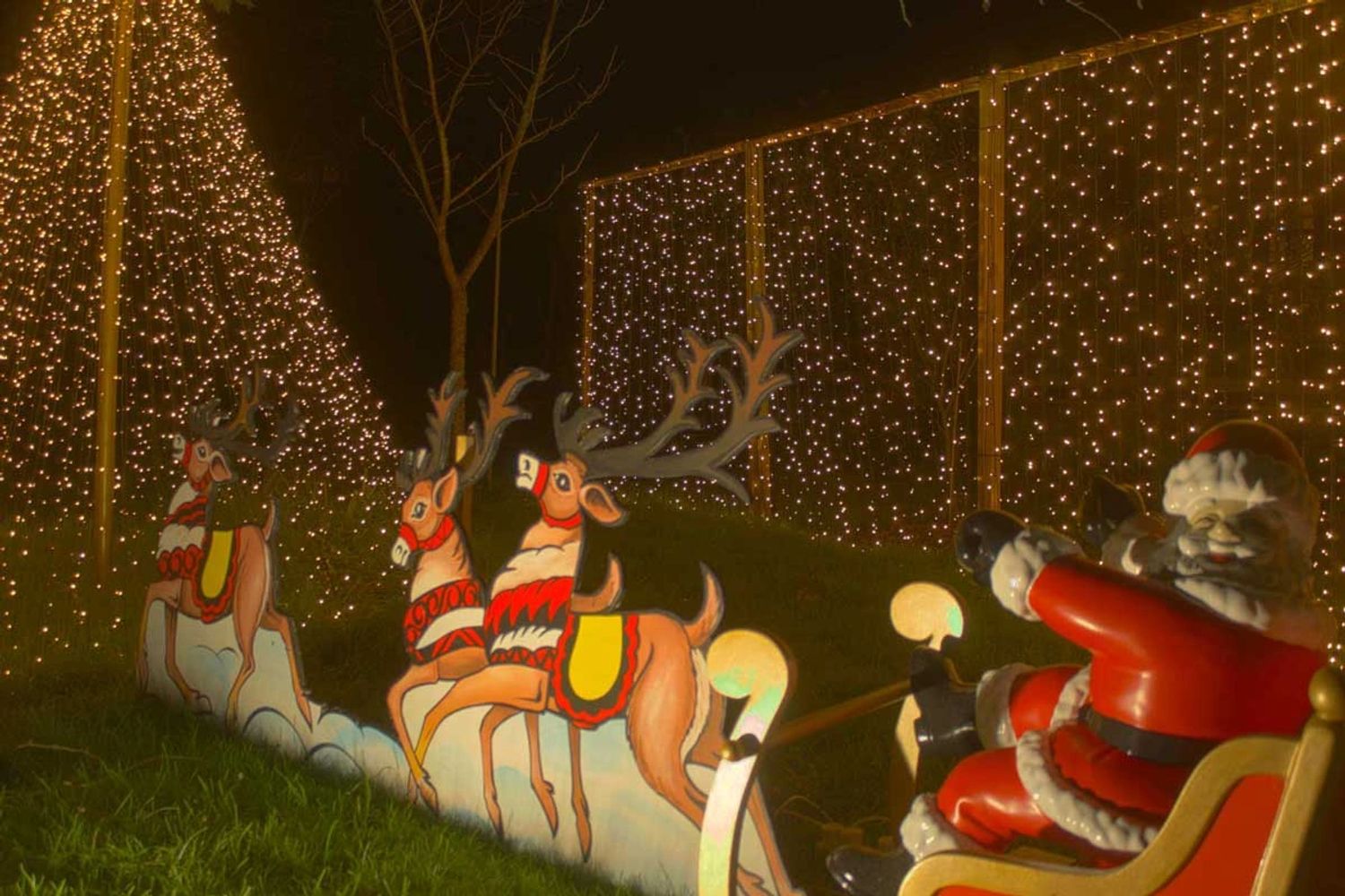 Santa with his reindeer and sleigh at night with lights in background.