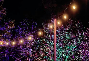 Festoon lights on bamboo pole with floodlighting in bushes.