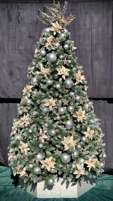 Velvet champaign gold poinsettia flowers, stars & mercury effect textured baubles on Christmas tree.