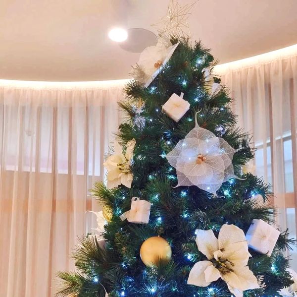 Closeup of decorations on our white and gold present box Christmas tree with leaf skeleton flowers.