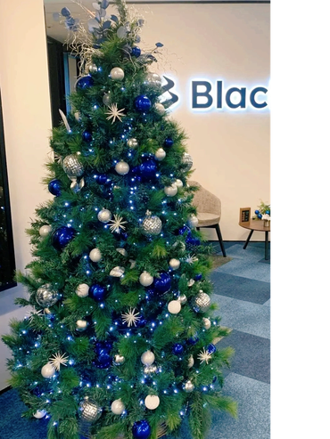 Stylish blue and silver baubles and stars on Corporate Christmas tree at Auckland office.