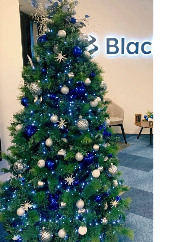 Stylish blue and silver baubles and stars on Corporate Christmas tree at Auckland office.