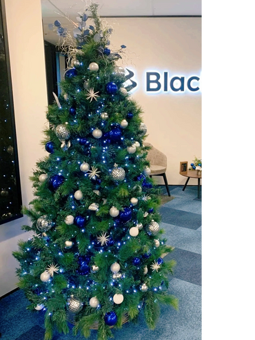 Stylish blue and silver baubles and stars on Corporate Christmas tree at Auckland office.