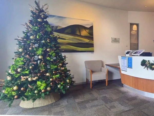 Green and bronze fully decorated 8 foot Christmas tree at hospital.