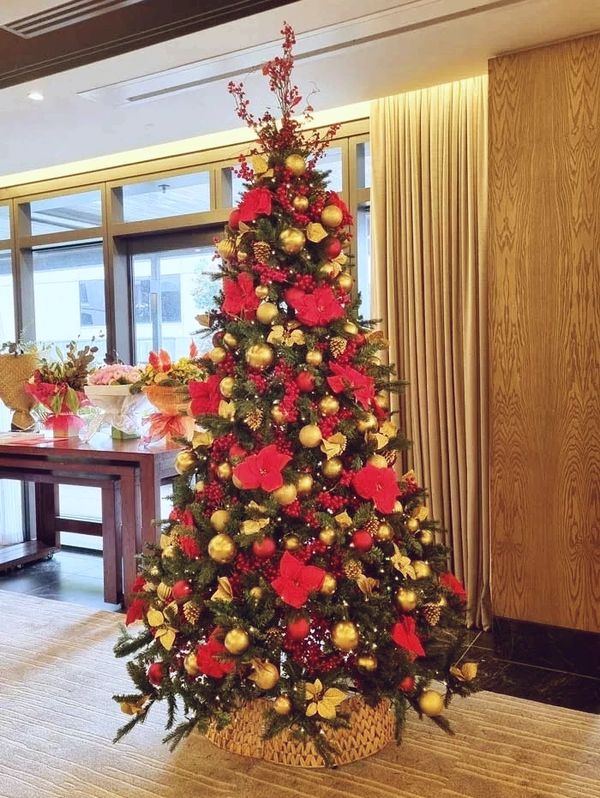 Red and gold poinsettia flower Christmas tree at end of year function at hotel.