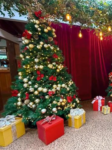 Gold bauble spiral, pinecones, poinsettia flowers + lost of lights on Christmas party tree display.