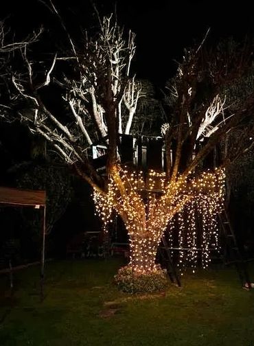 Tree wrapping with dripping fairy lights and white floodlighting.