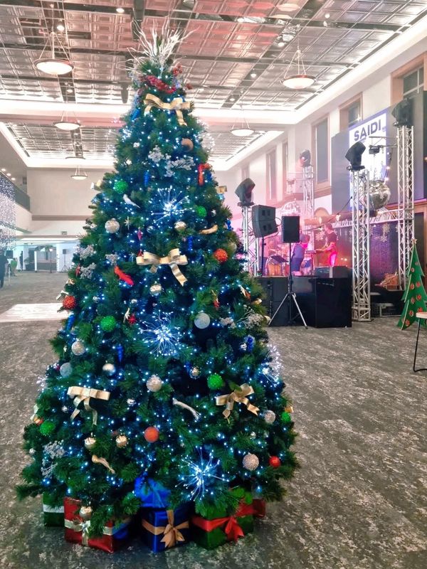 party Christmas tree with starburst lights at Eden Park Stadium.