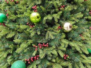 Closeup of decorations on 6m Christmas tree featuring berries, and colourful baubles.