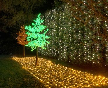Fairy light wall and lights trees with light netting floor - lighting display for outdooor party.
