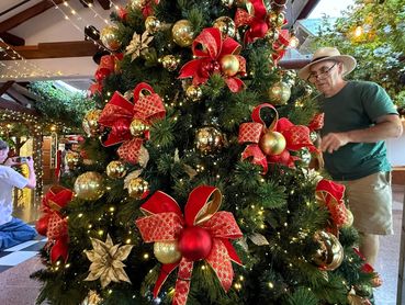 David decorating our magnificent bows Christmas tree for Xmas party at Markovina Vineyard Estate.