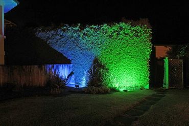 Uplighting in bushes along hedge at outdoor party.