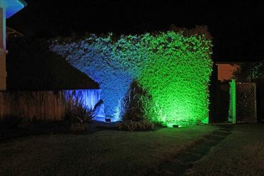 Hedge illuminated with colourful floodlights for entrance to private residence event.