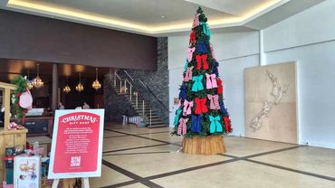 5m tall Christmas tree with cool white fairy lights and wooden tree collar at City Impact Church.