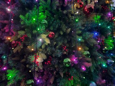 6m tall giant Christmas tree with multi-coloured commercial-grade fairy lights.