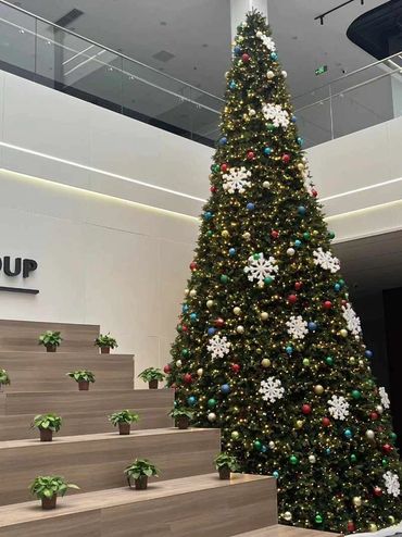 6m commercial Christmas tree with no lights.