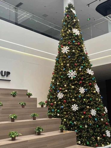 6m commercial Christmas tree with no lights.