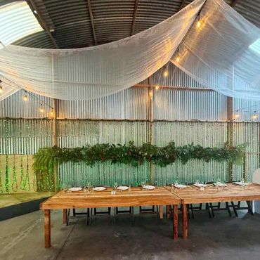 Festoon lights and sheer curtain canopy + fairy light curtain for Kumeu wedding.