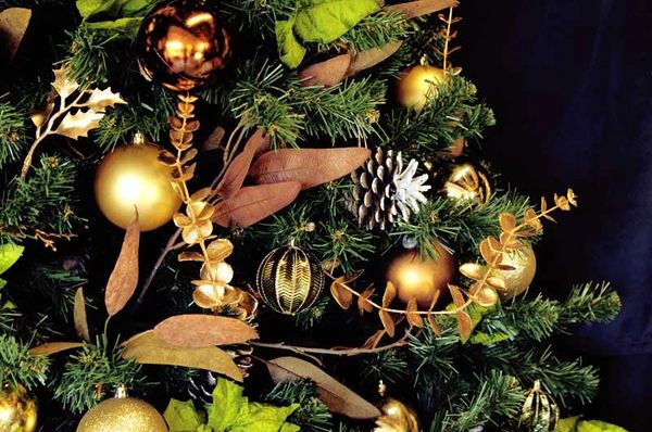 Professionally decorated green and bronze Christmas tree with gold baubles and pinecones - closeup.