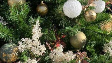 Closeup of sage green and gold Christmas tree decorations with gold bell with ribbon and foliage.