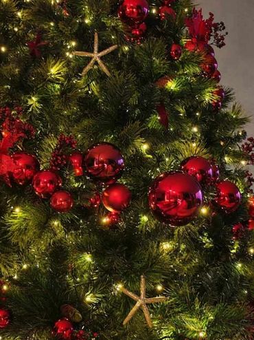 Example of Coastal Christmas theme featuring hand-painted starfish decorations on Xmas tree.