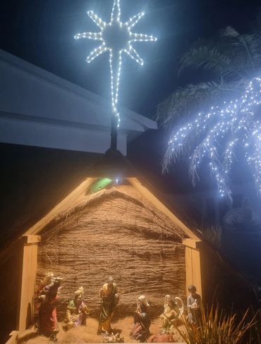 Nativity set in manger with star of Bethlehem + tree wrapping.