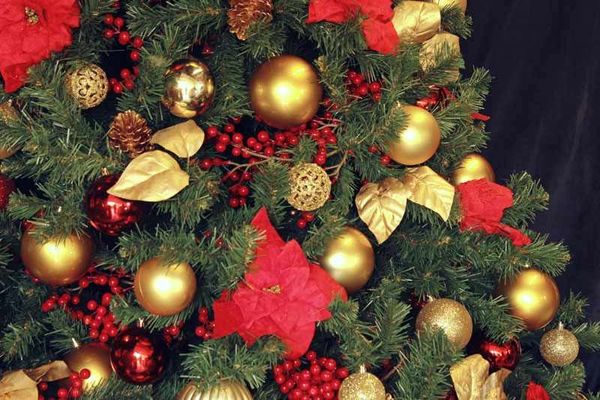 Closeup of decorated designer Christmas tree with red and gold theme with flowers and berries.
