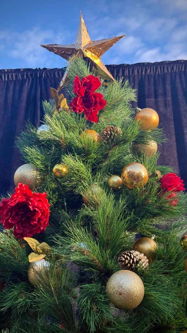 Closeup of tree topper with handmade gold star and artificial roses with baubles and real pinecones.