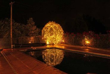 Tree wrapping by poolside with reflection in the pool - warm white fairy lights.