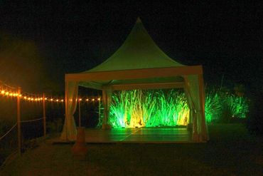 Green floodlights on bushes and marquee with festoon lights to the side.