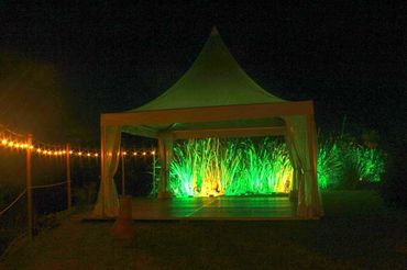 Colourful floodlighting in garden.