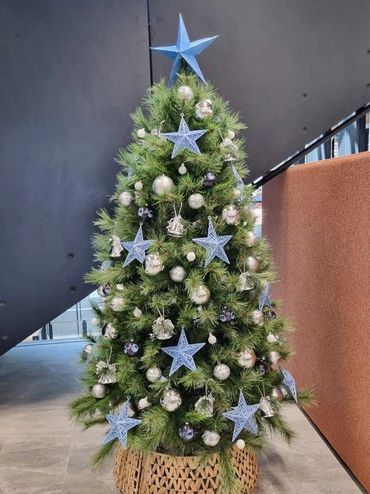 Baby blue and silver Christmas decorations on small office tree with stars, bells, and kiwi baubles.