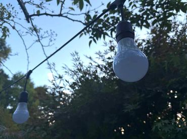 Opaque white festoon lights - not lit.