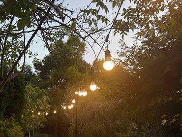 White festoon lights with black poles.