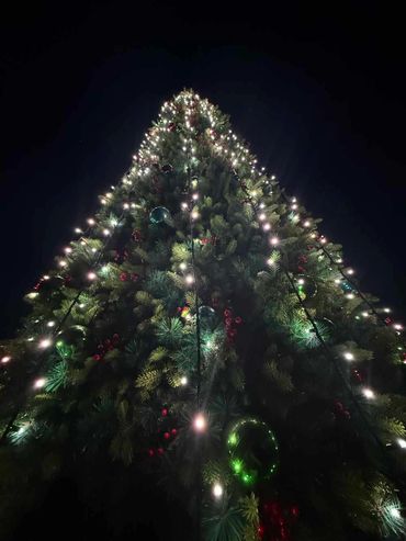 6m tall gian Christmas tree with white commercial-grade fairy lights.