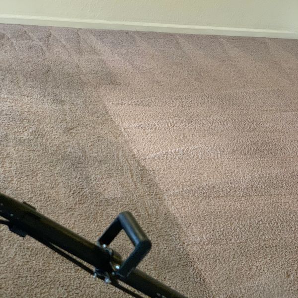 Residential Carpet Cleaning showing the difference we can make.