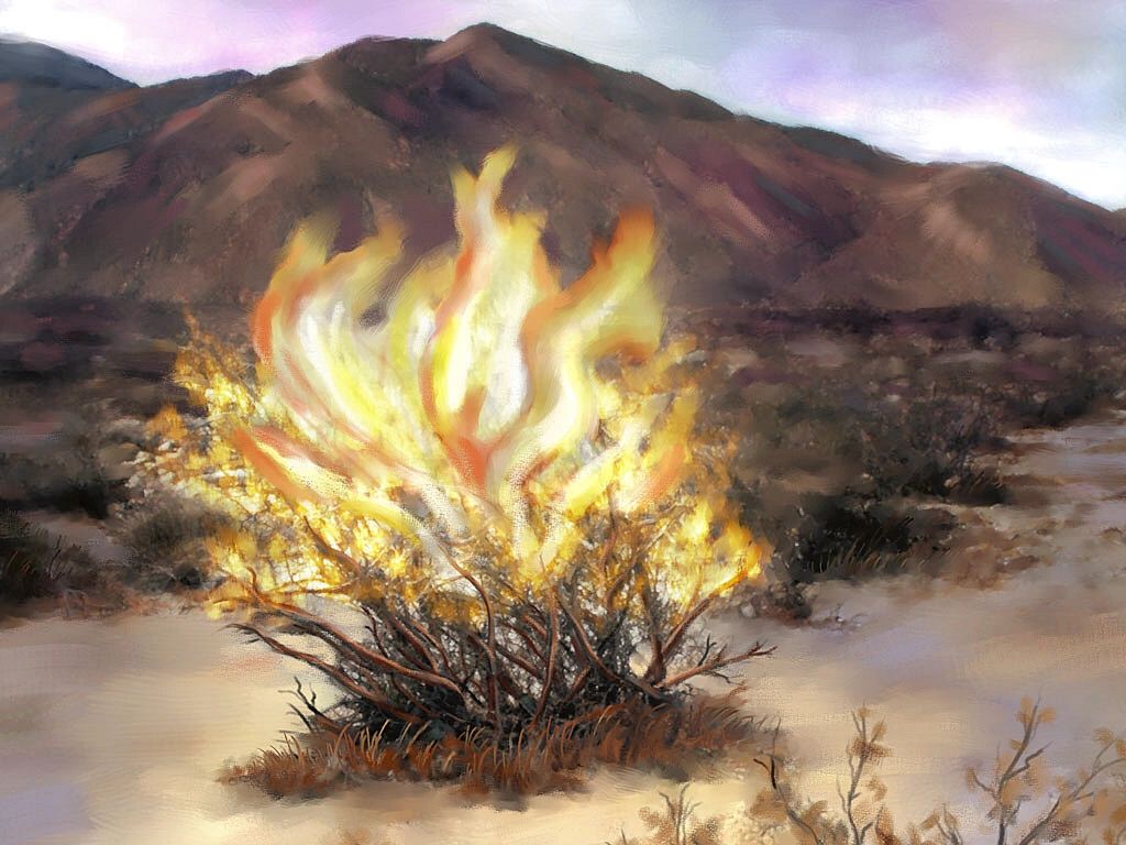 Our interactions
 with burning bush
