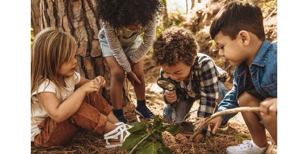 Four children exploring nature with curiosity around a tree and plants.